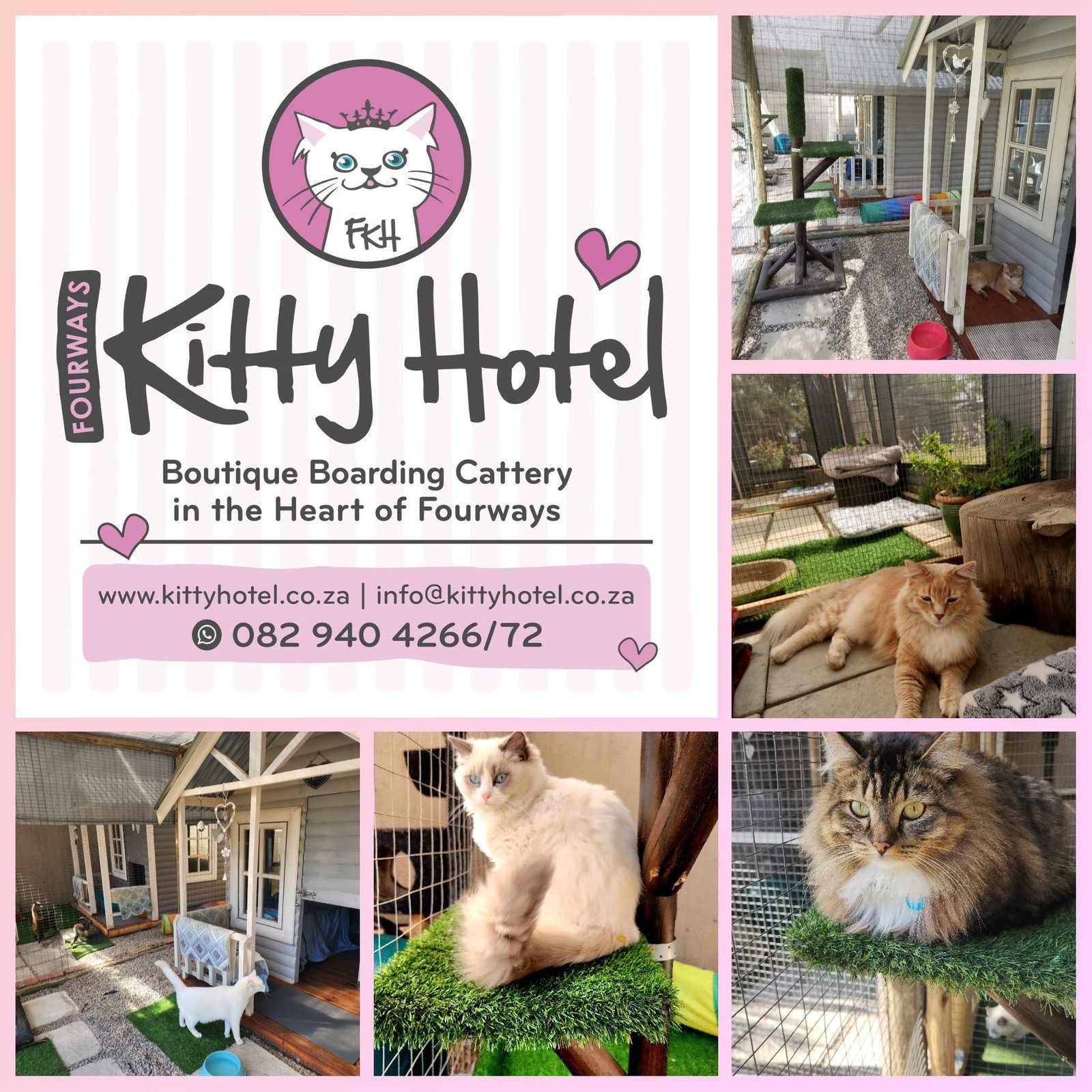 Fourways Kitty Hotel
